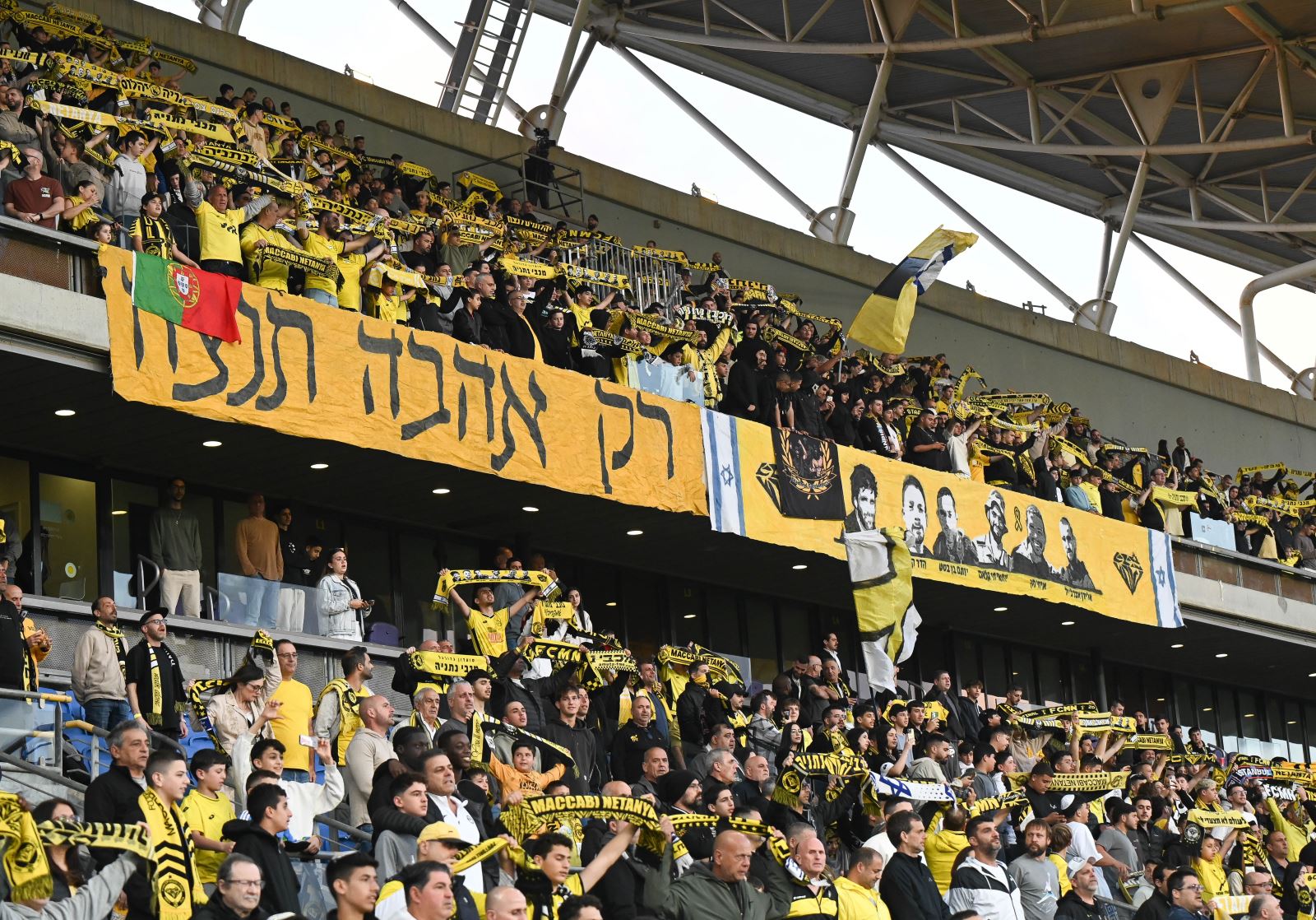 דוח כספי – דצמבר 2024
